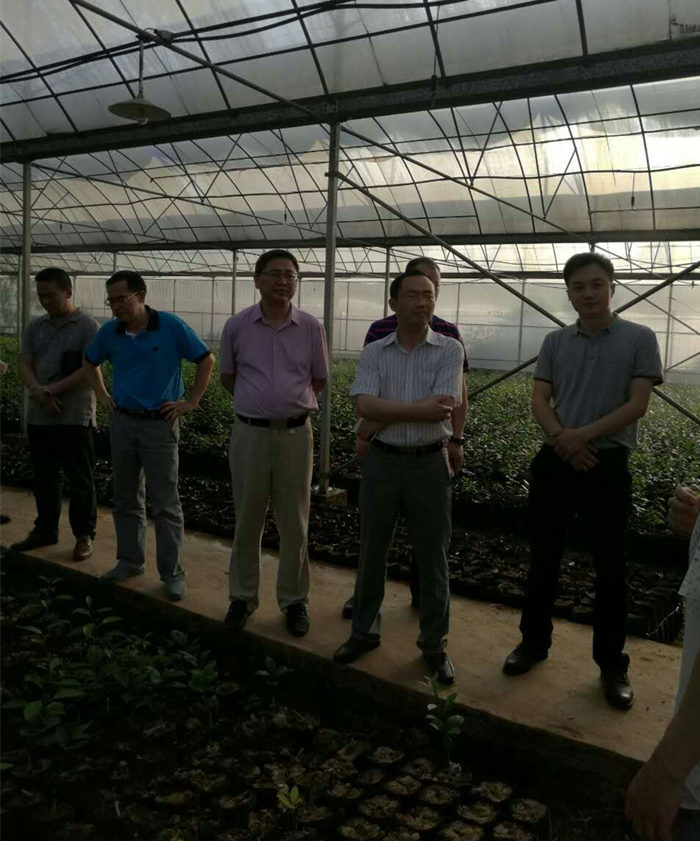園區(qū)企業(yè)走訪調(diào)研 院長(zhǎng)李文輝在湖南宜章經(jīng)開(kāi)區(qū)及農(nóng)業(yè)科技園進(jìn)行調(diào)研