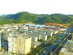 中山：加快建設(shè)東升脆肉鯇、橫欄花木省級(jí)現(xiàn)代農(nóng)業(yè)產(chǎn)業(yè)園