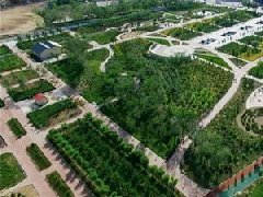 溧陽市：大力支持現(xiàn)代農(nóng)業(yè)高質(zhì)量發(fā)展