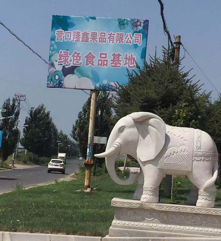 東北水果之鄉(xiāng)迎來(lái)發(fā)展新機(jī)遇，蓋州爭(zhēng)創(chuàng)省級(jí)現(xiàn)代農(nóng)業(yè)產(chǎn)業(yè)園