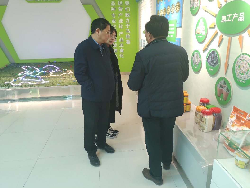 “中國薯都”再奏新旋律，定西市安定區(qū)開啟馬鈴薯產(chǎn)業(yè)發(fā)展新篇章