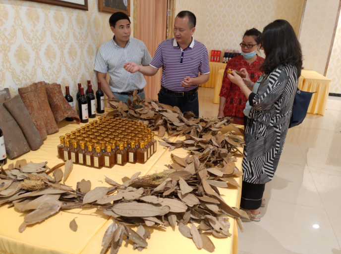 龔州大地，龍眼飄香-平南現(xiàn)代農(nóng)業(yè)正釋放科技創(chuàng)新活力