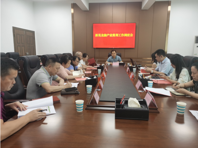 發(fā)力五型經(jīng)濟(jì)，著力打造“中國龍腦之都”