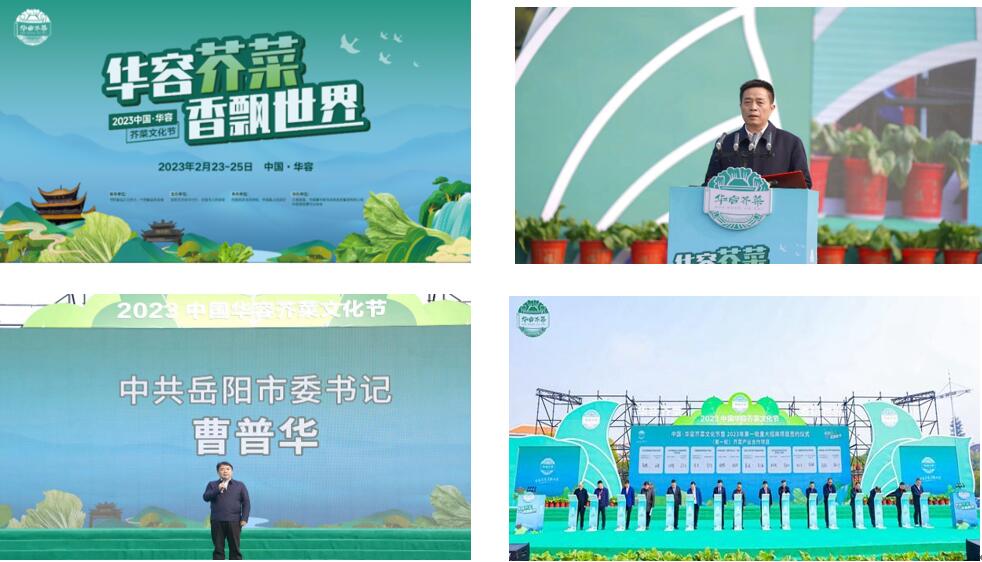 華容芥菜香飄四海，創(chuàng)建國家現(xiàn)代農(nóng)業(yè)產(chǎn)業(yè)園恰逢其時