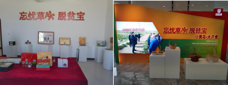 打造農(nóng)業(yè)綠色發(fā)展典范，云州區(qū)創(chuàng)建國家農(nóng)業(yè)綠色發(fā)展先行區(qū)勢在必行
